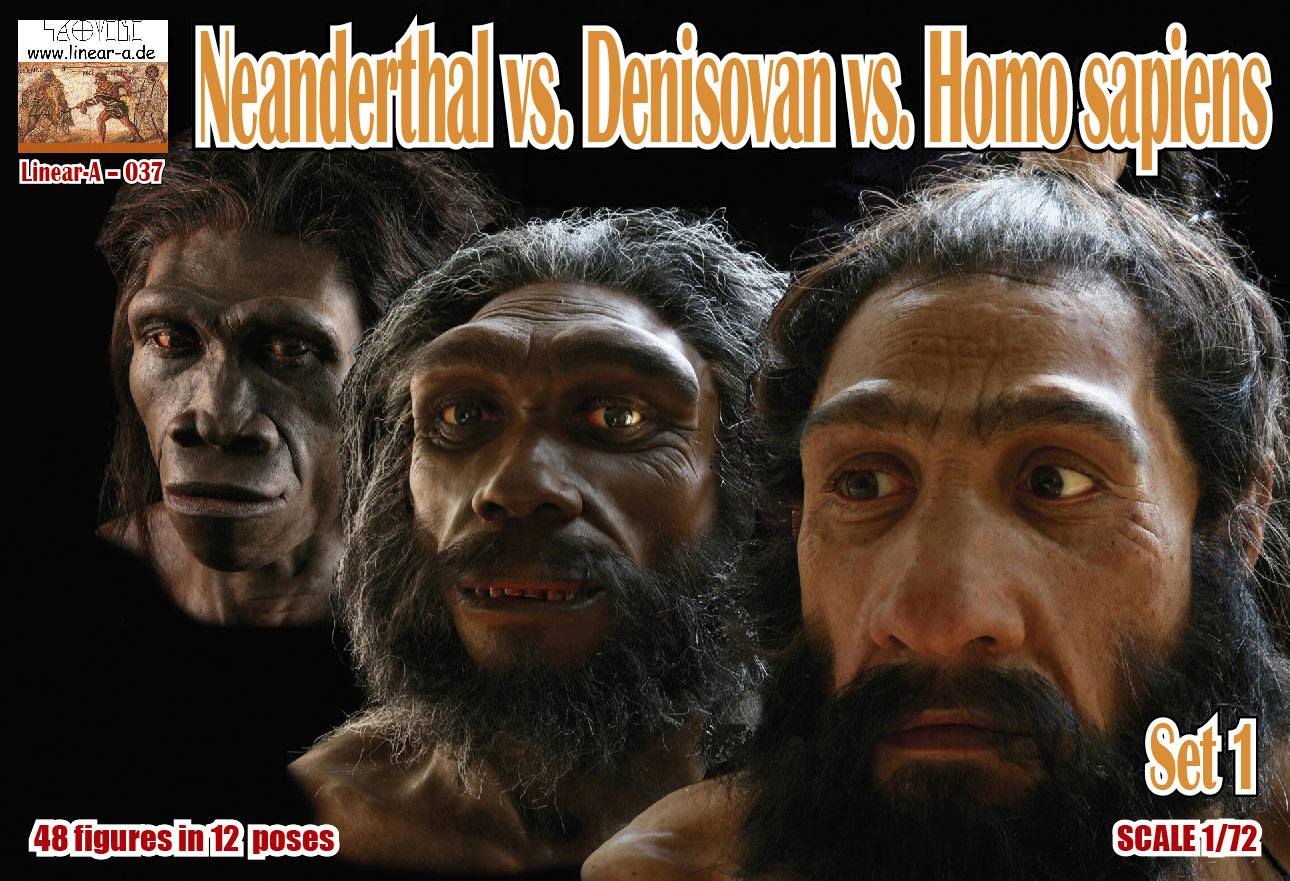 LINEAR-A LA037 NEANDERTHAL VS DENISOVAN VS HOMO-SAPIENS Model Figures
