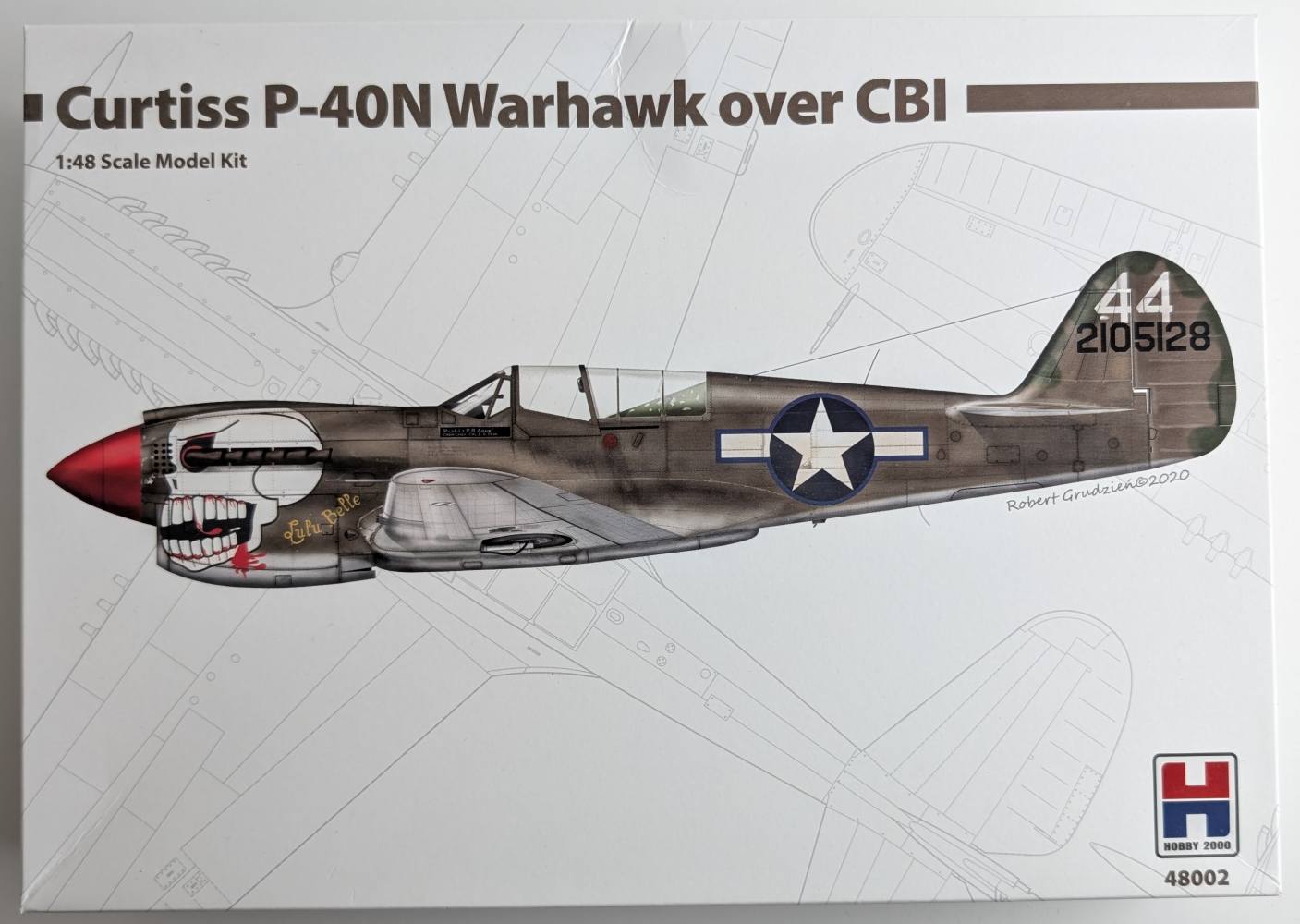 HOBBY 2000 48002 P-40N WARHAWK OVER CBI Aircraft Model Kits