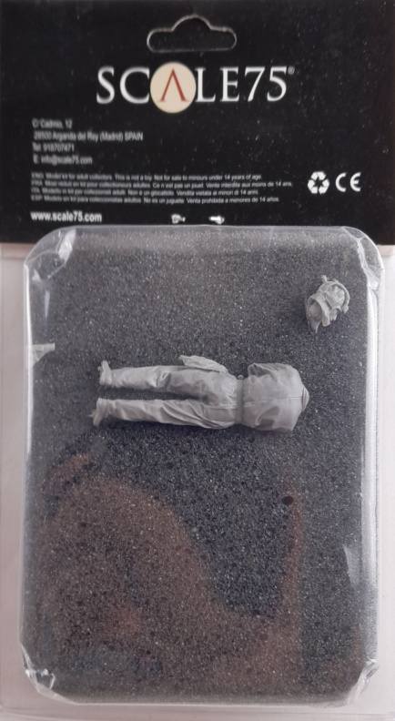 SCALE 75 RESIN FIGURE IN PROTECTIVE FOAM Conversion Sets