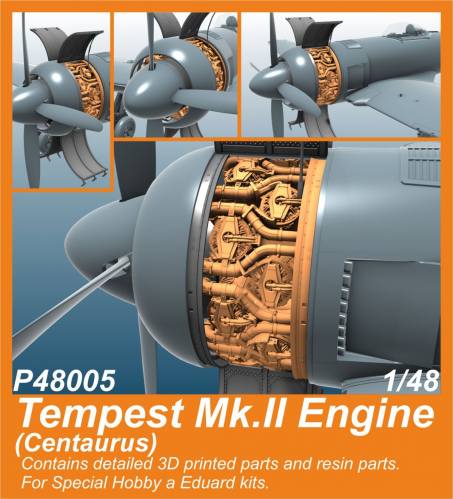 CMK 1/48 48005 TEMPEST MK.II ENGINE 