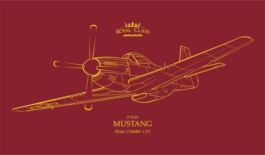 EDUARD 1/72 R0021 ROYAL CLASS P-51D MUSTANG DUAL COMBO