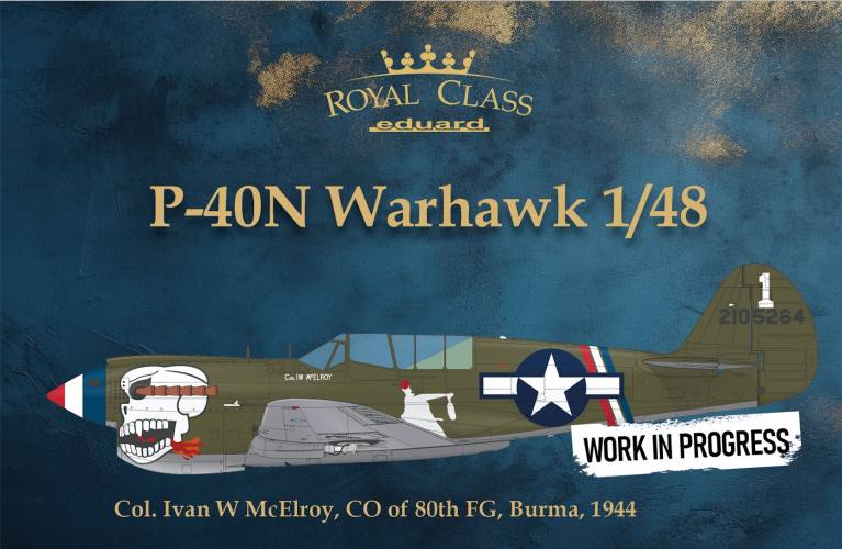 EDUARD 1/48 R0025 ROYAL CLASS P-40N WARHAWK DUAL COMBO 