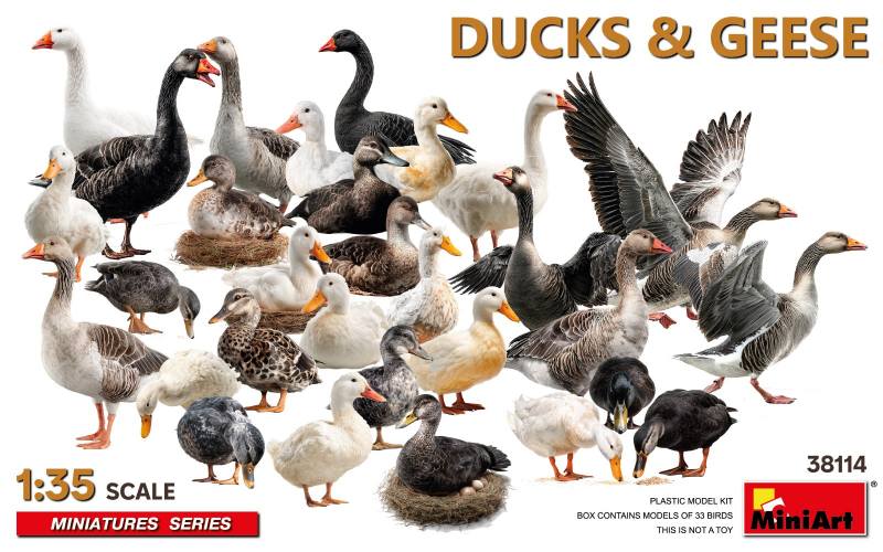 MINIART 1/35 38114 DUCKS AND GEESE