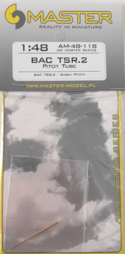 MASTERMODEL 1/48 AM-48-118 BAC TSR.2 PITOT TUBE