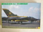 Thumbnail HASEGAWA SP36 TORNADO GR Mk. 1 RAF 75TH ANNIVERSARY