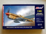 Thumbnail AMTECH 489202 P-40F/L