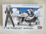 Thumbnail HASEGAWA TH2 F-14 TOMCAT