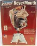 Thumbnail LINDBERG 71310 HUMAN NOSE/MOUTH