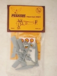 Thumbnail PEGASUS 20 HANRIOT HD1