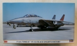 Thumbnail HASEGAWA 00660 F-14A TOMCAT VF-154 BLACK KNIGHTS HISTORY