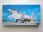 Thumbnail FUJIMI R-2 McDONNELL DOUGLAS F-15J EAGLE