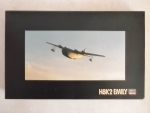 Thumbnail HASEGAWA QP17 H8K2 EMILY