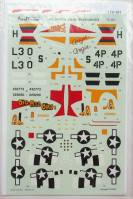 Thumbnail AEROMASTER 2946. 72181 406 FIGHTER GROUP THUNDERBOLTS