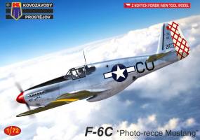 Thumbnail KP 0246 F-6C PHOTO-REECE MUSTANG