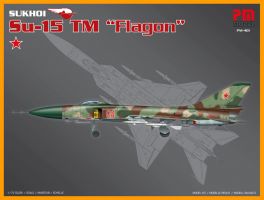 Thumbnail PM 401 SUKHOI Su-15TM FLAGON