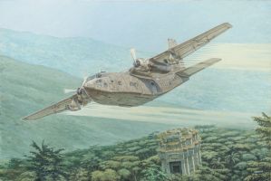 Thumbnail RODEN 057 FAIRCHILD C-123K/UC-123K PROVIDER